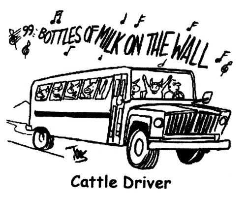 'Cattle Driver.'