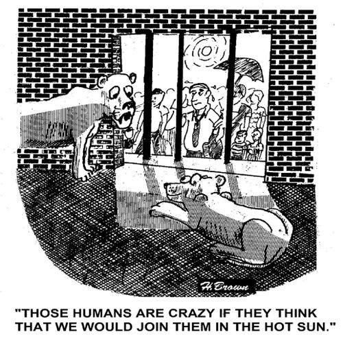 'Those humans are crazy if they think that we would join them in the hot sun.'