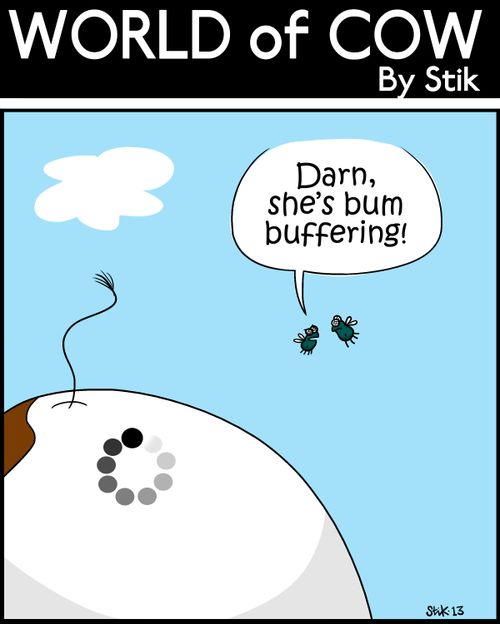 'Darn, she's bum buffering!'