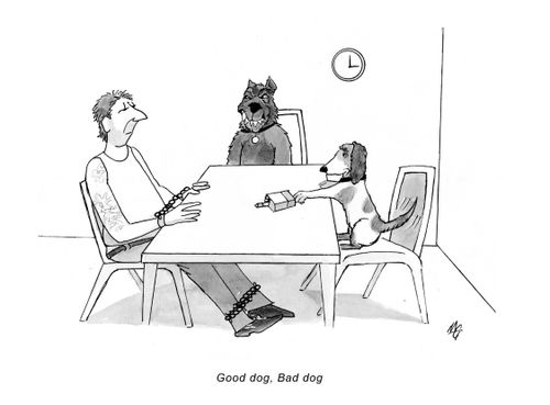 Good Dog and Bad Dog Interrogation.