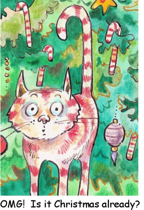 'OMG! Is it Christmas already?'