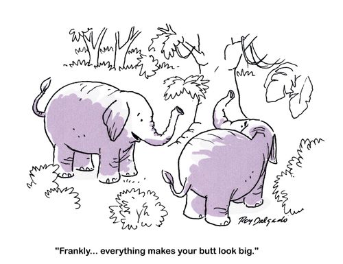 'Frankly... everything makes your butt look big.'
