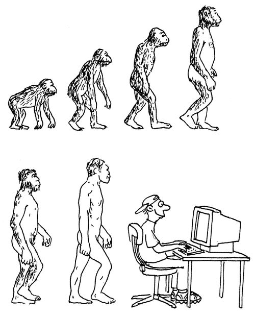Evolution.