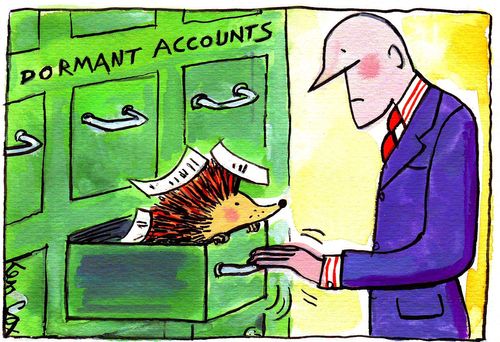 Hedgehog living in filing cabinet.