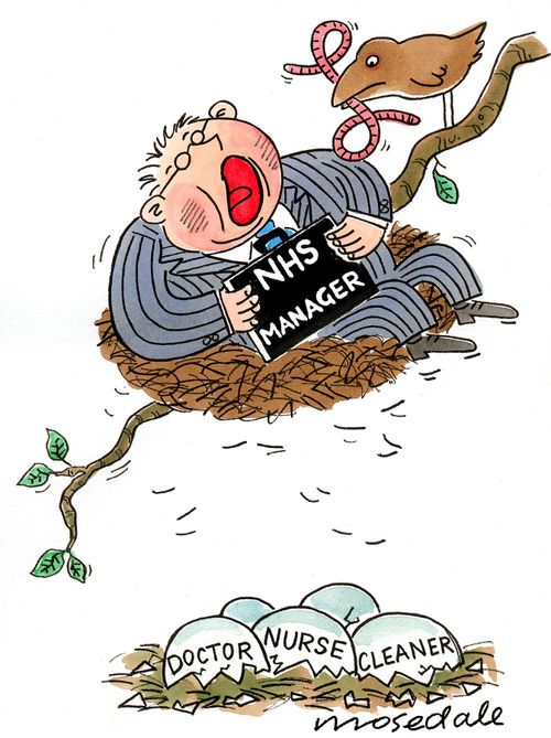 NHS manager as cuckoo chick.