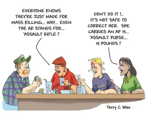 "Everyone knows they're just made for mass killing...why...even the AR stands for 'assault rifle!'"