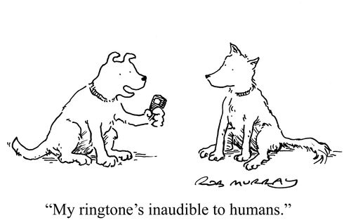 'My ring-tone's inaudible to humans.'