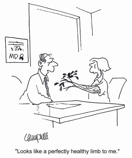 'Looks like a perfectly healthy limb to me.'