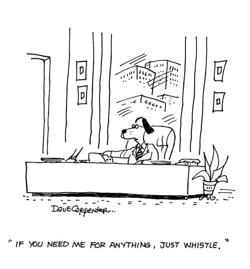 'If you need me for anything, just whistle.'