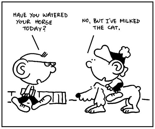 'Have you watered your horse today?'