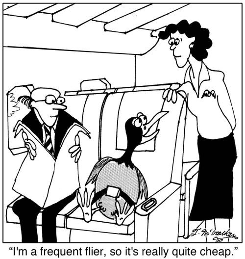  'I'm a frequent flier, so it's really quite cheap.'