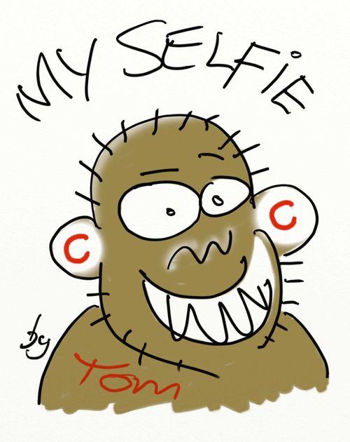 Monkey's Selfie - whose copyright?