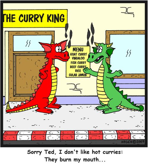 'Sorry Ted, I don't like hot curries: They burn my mouth...'