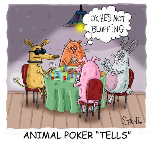 Animal Poker 'Tells'.