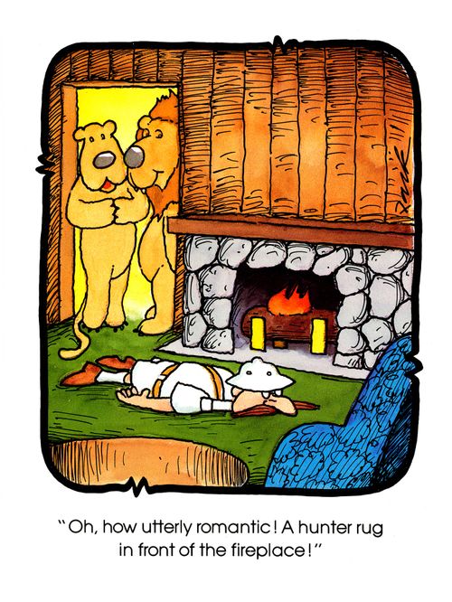 'Oh, how utterly romantic! A hunter rug in front of the fireplace!'