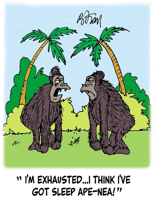 'I'm exhausted...I think I've got sleep ape-nea!'