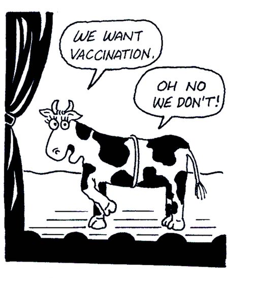'We want vaccination.'  'Oh no we don't!'