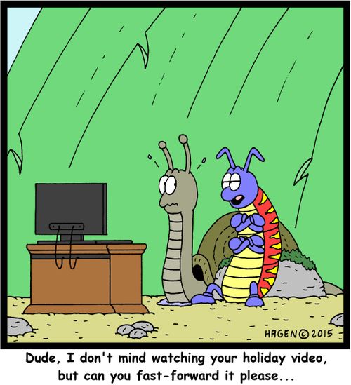 "Dude, I don't mind watching your holiday video, but can you fast-forward it please..."