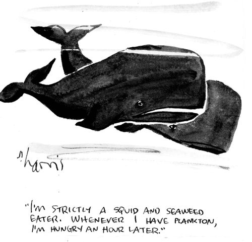 "I'm strictly a squid and seaweed eater. Whenever I have plankton, I'm hungry an hour later."