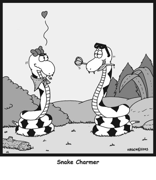 Snake Charmer