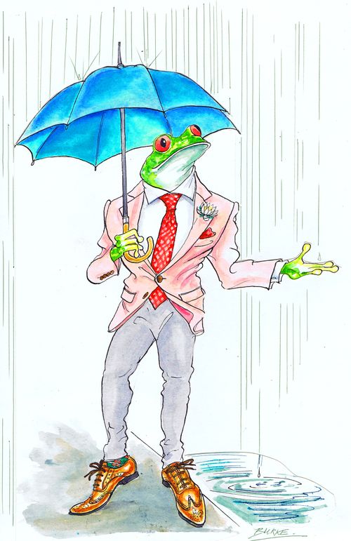 Frog with an umbrella.