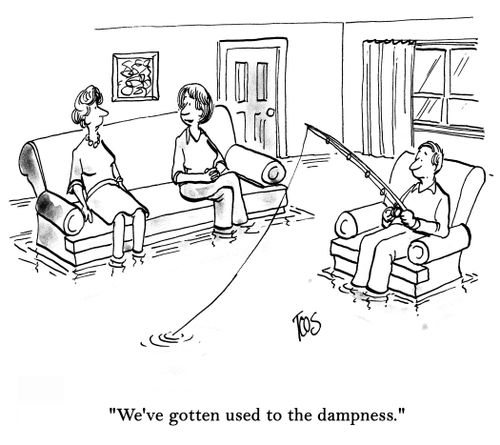 'We've gotten used to the dampness.'