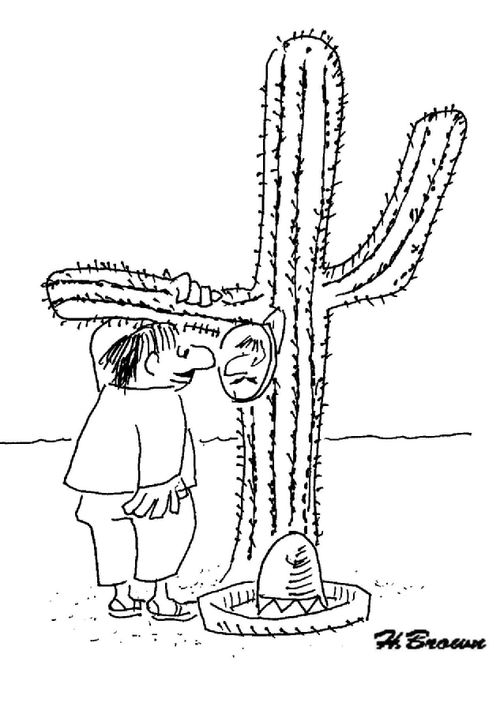 Man combing his hair with a cactus.