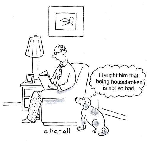 'I taught him that being housebroken is not so bad.'