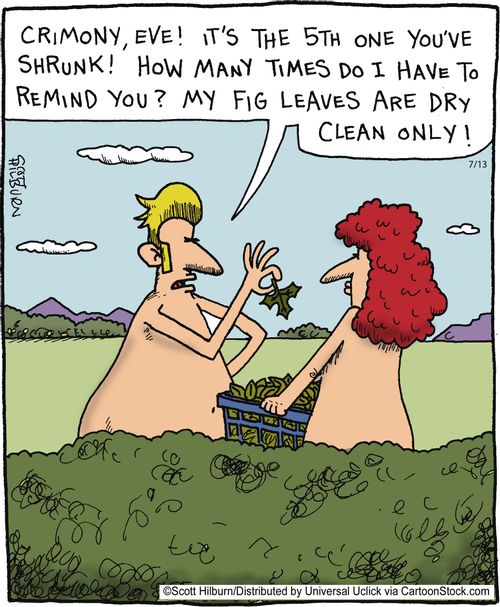 'Crimony Eve, it's the 5th one you've shrunk. How many times do I have to tell you that my figs are dry clean only!'