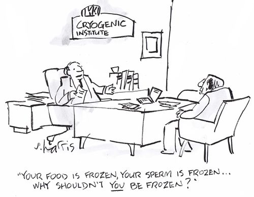 'Your food is frozen, your sperm is frozen - why shouldn't you be frozen?'
