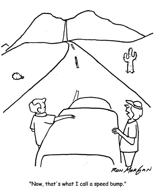 "Now, that's what I call a speed bump."