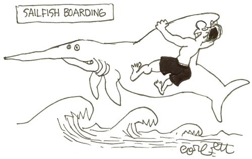 Sailfish boarding.