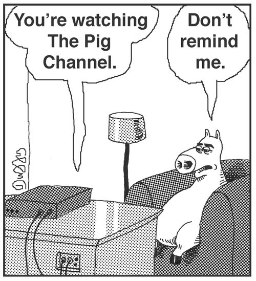 'You're watching The Pig Channel.' 'Don't remind me.'
