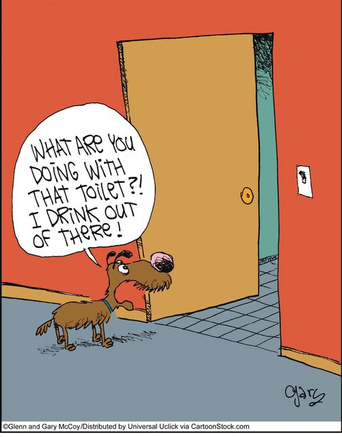 'What are you doing with that toilet?! I drink out of there!'