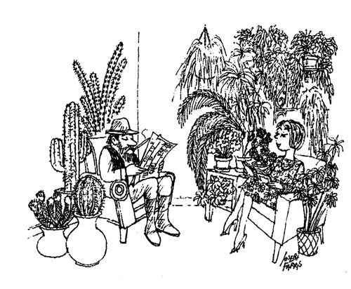 House plants.