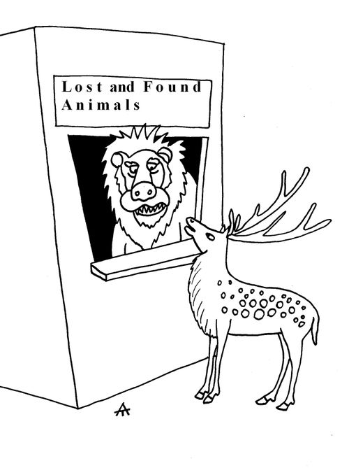 Lost and Found Animals