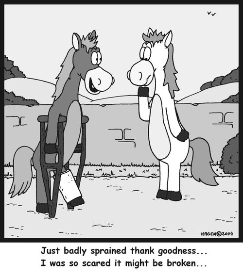 'Just badly sprained thank goodness... I was so scared it might be broken...'