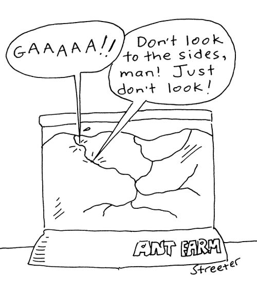 Ant farm "Don't look to the sides, man!"
