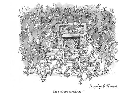'The gods are perplexing.'