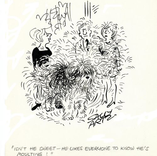'Isn't he sweet - he likes everyone to know he's moulting!'