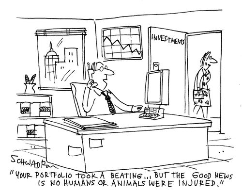 'Your portfolio took a beating...,but the good news is no humans or animals were injured.'