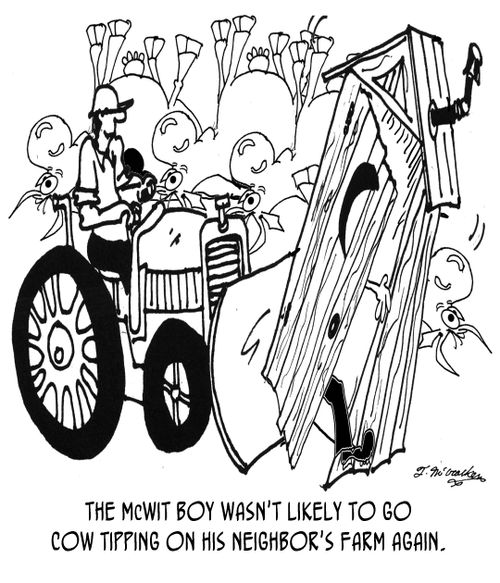 'The McWit boy wasn't likely to go cow tipping on his neighbor's farm again.'