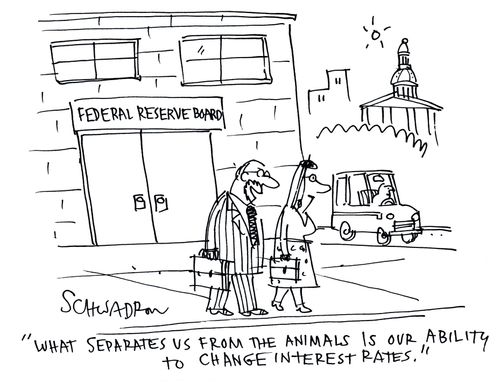 'What separates us from the animals is our ability to change interest rates.'