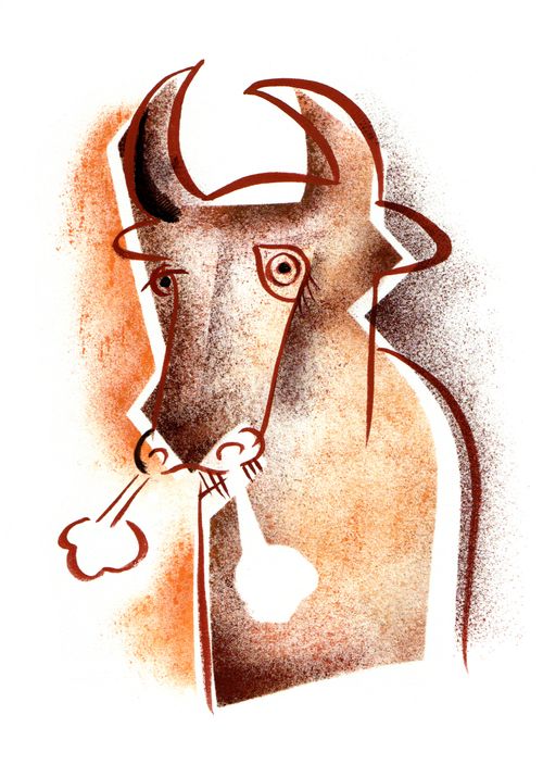 Bull