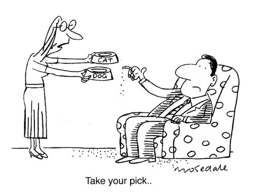 "Take your pick.."