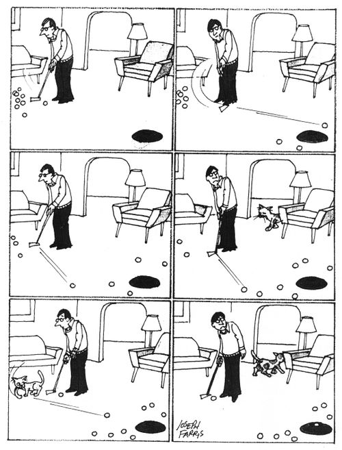 Cat Gets Hole in One.