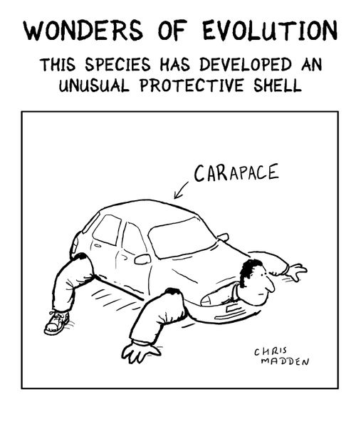 Wonders of Evolution: This species has developed an unusual protective shell.