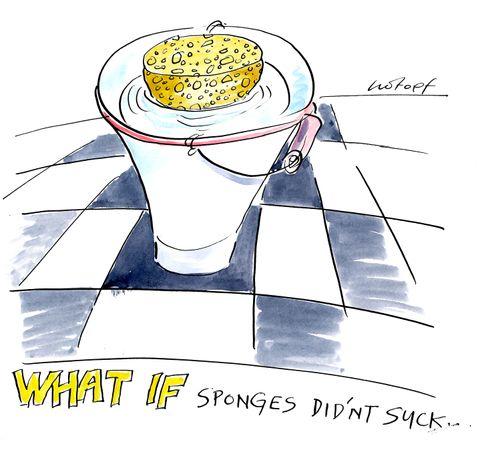What if sponges didn't suck...