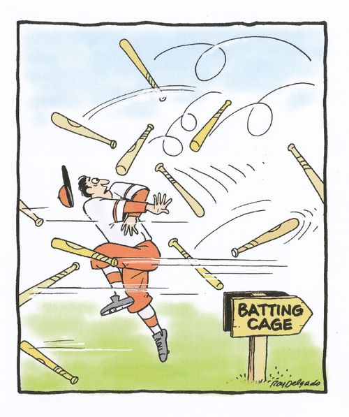 Batting cage