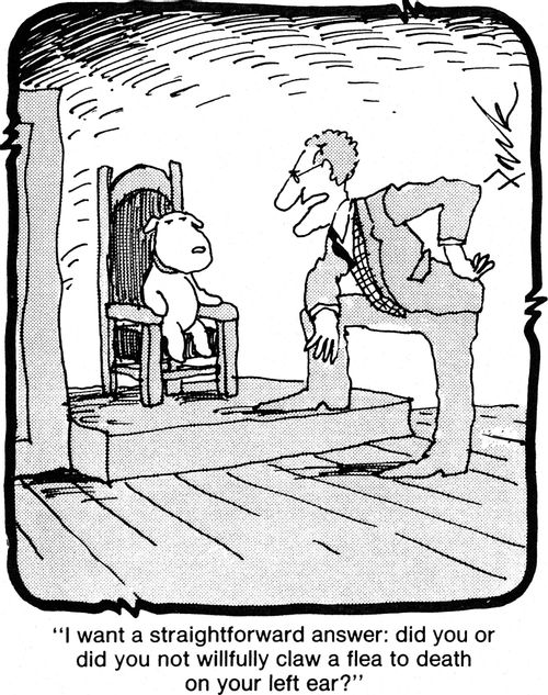 'I want a straightforward answer: Did you or did you not willfully claw a flea to death on your left ear?'